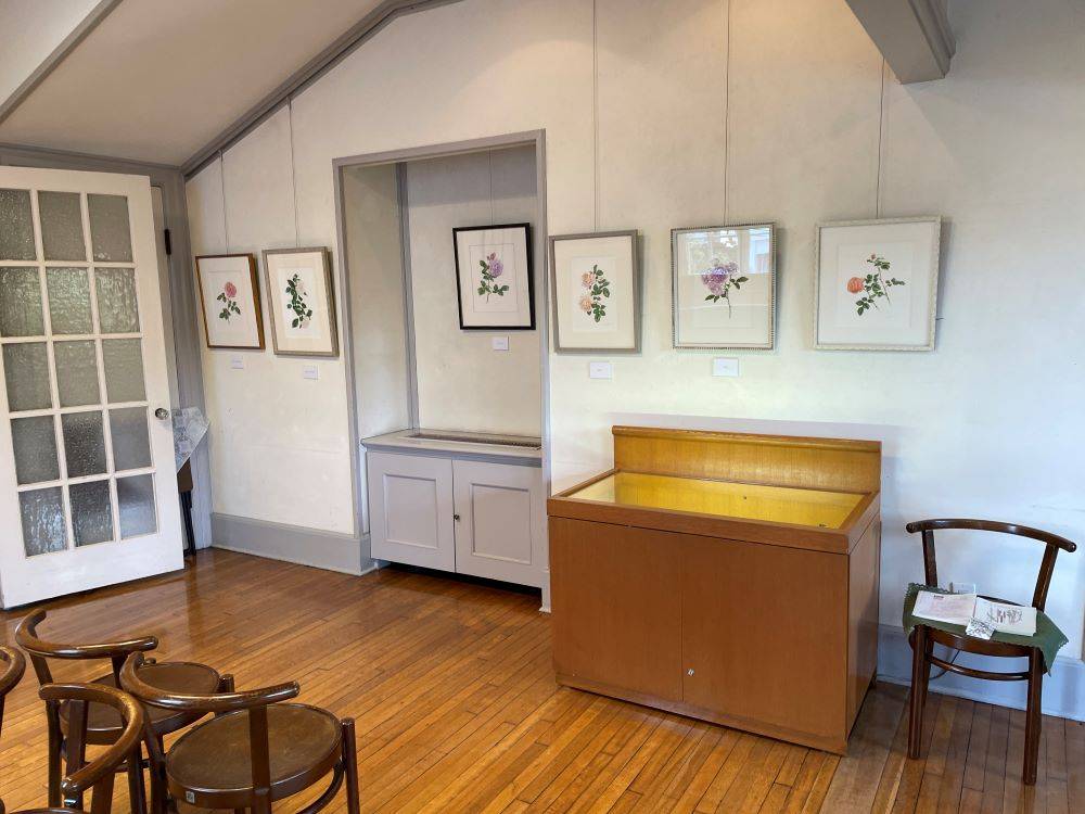 ボタニカル原画展　(111番館) (13).JPG
