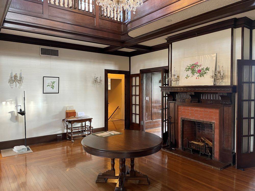 ボタニカル原画展　(111番館) (2).JPG