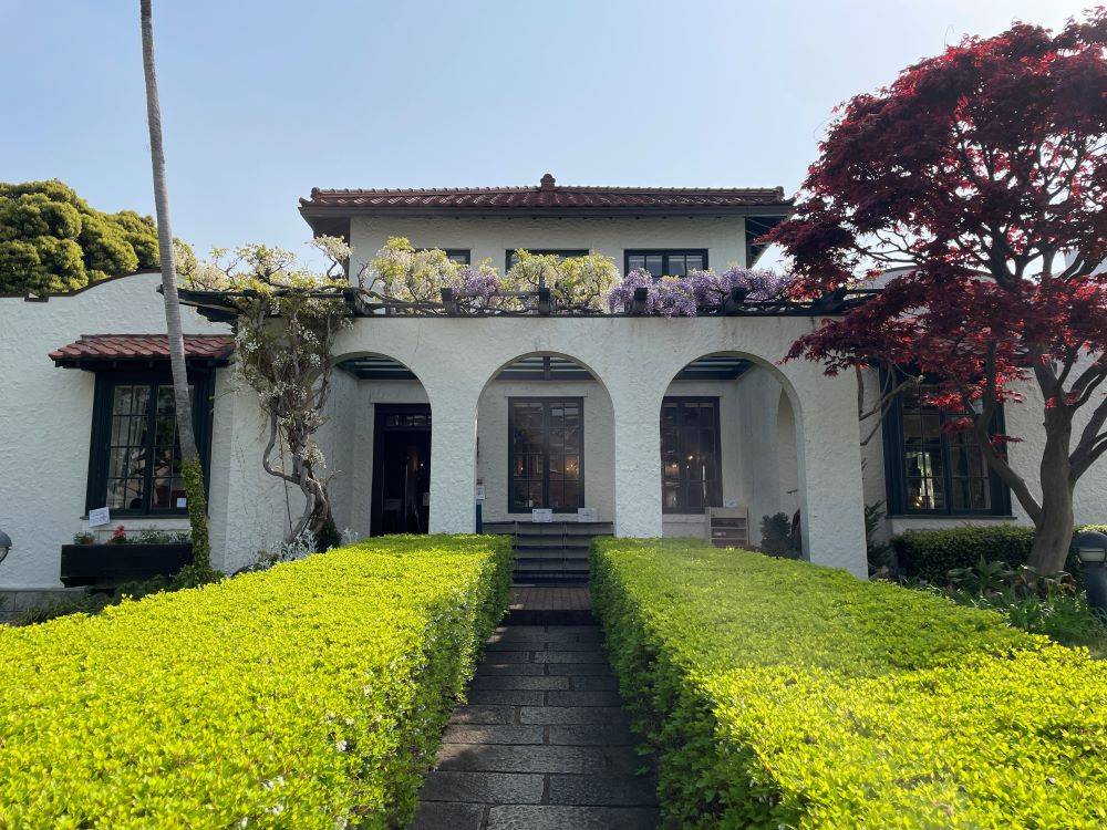 山手111番館のデショウジョウと藤の花0419 (4).JPG