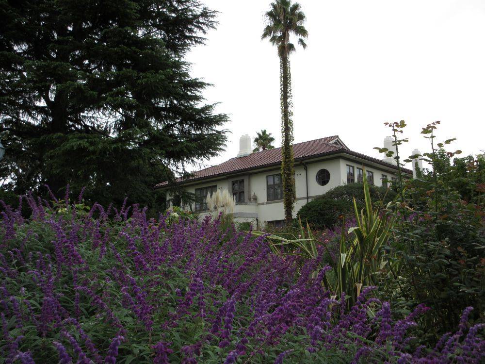 1004イギリス館丘公園秋① .JPG