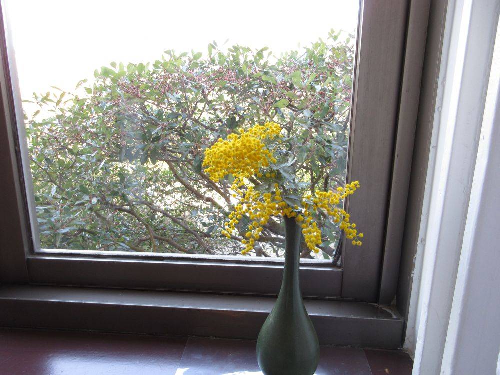 01230 イギリス館季節のお花③.JPG