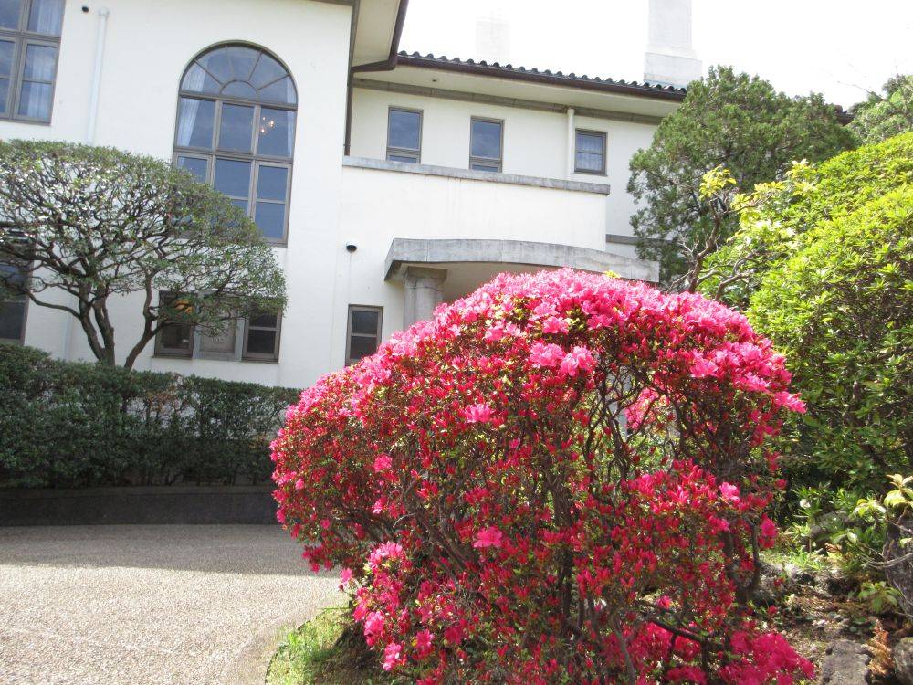 0412  イギリス館庭の花③.JPG