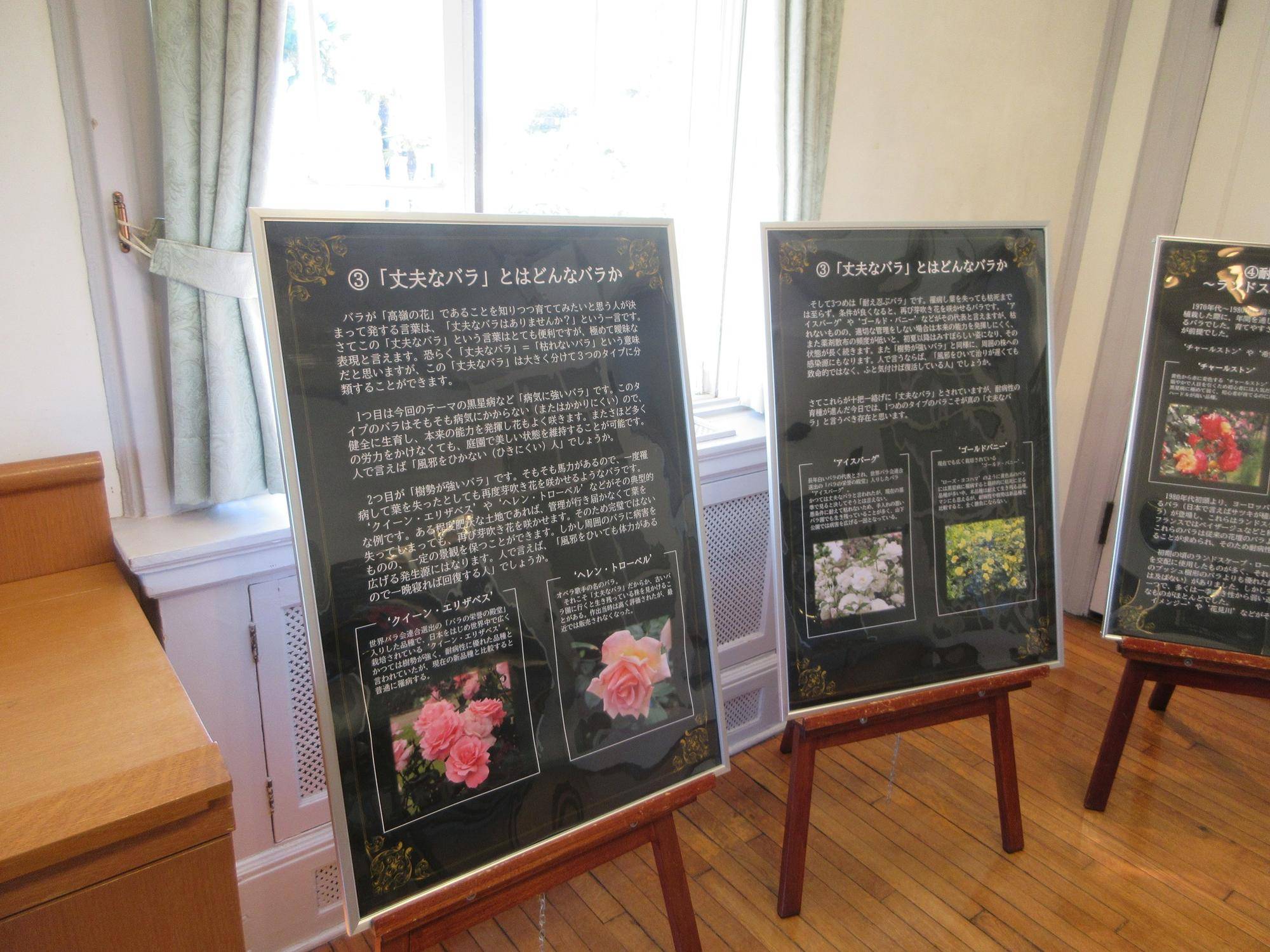 R8-9月(バラのパネル展)山手111番館 (3).JPG