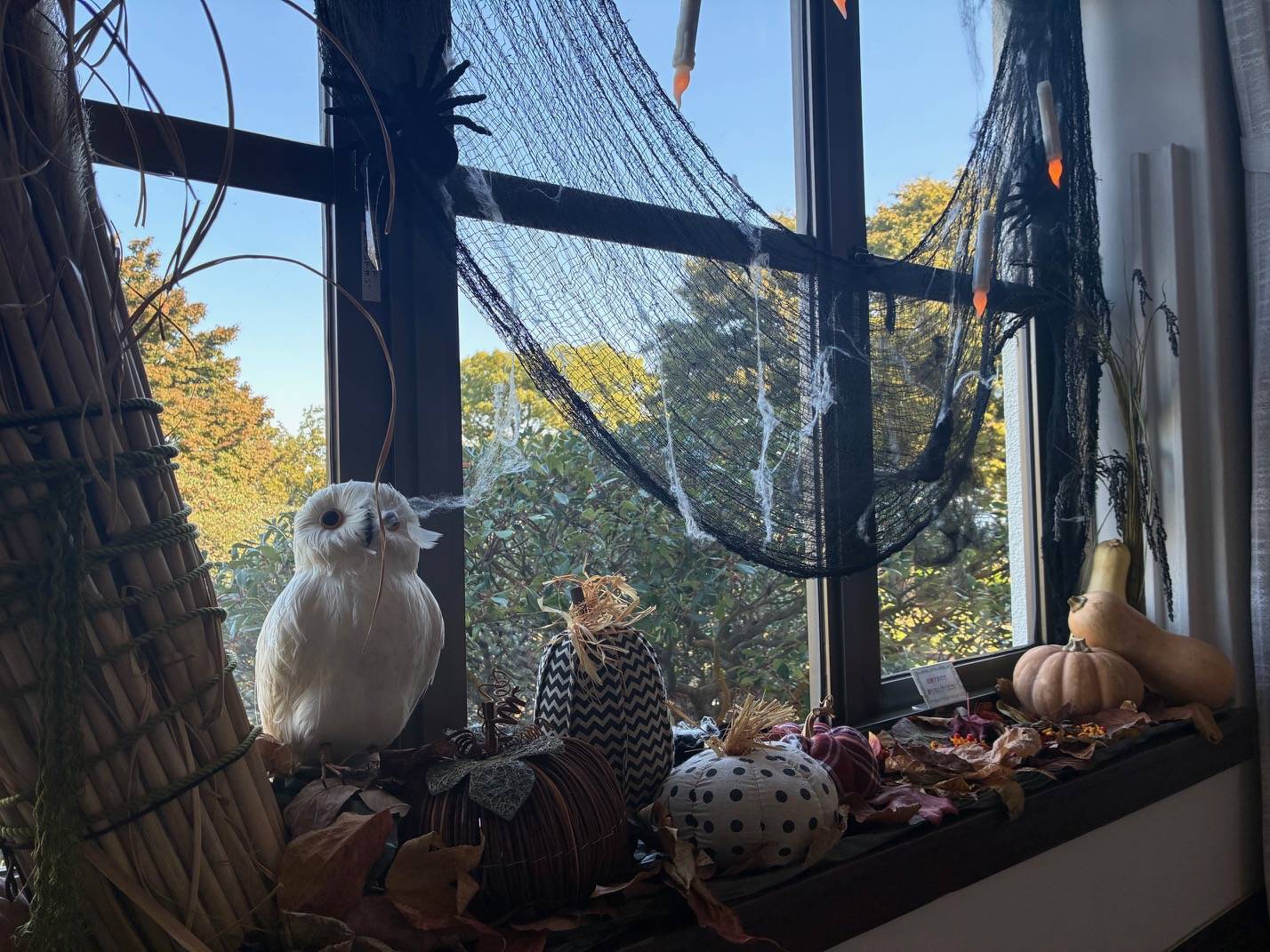 【イギリス館】ハロウィン装飾 (階段踊場).jpeg