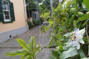 山手本通り夏の一コマ!
