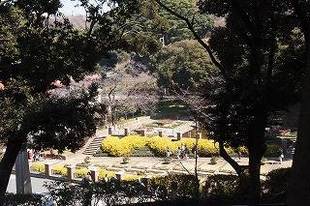 元町公園春がそこまで。