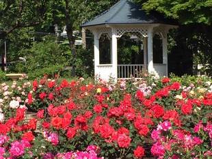 横浜市イギリス館 港の見える丘公園 2015 ビューⅡ