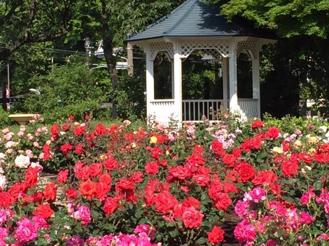 横浜市イギリス館 港の見える丘公園 2015 ビューⅡの写真