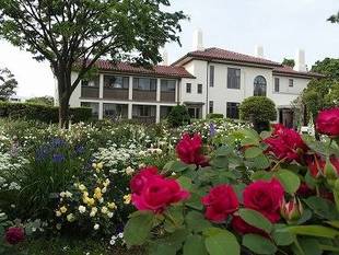 港の見える丘公園ビュー