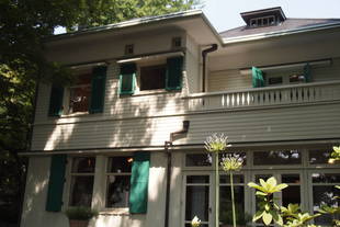 アカンサスが咲き始めました。（エリスマン邸）