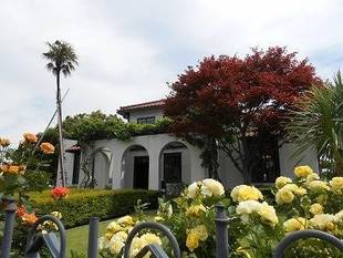 山手111番館　寄贈のバラが満開となりました。