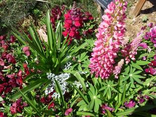 港の見える丘公園ビュー2019