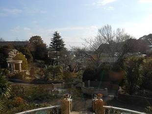  山手111番館　ダイニングルーム窓から見える桜Ⅱ