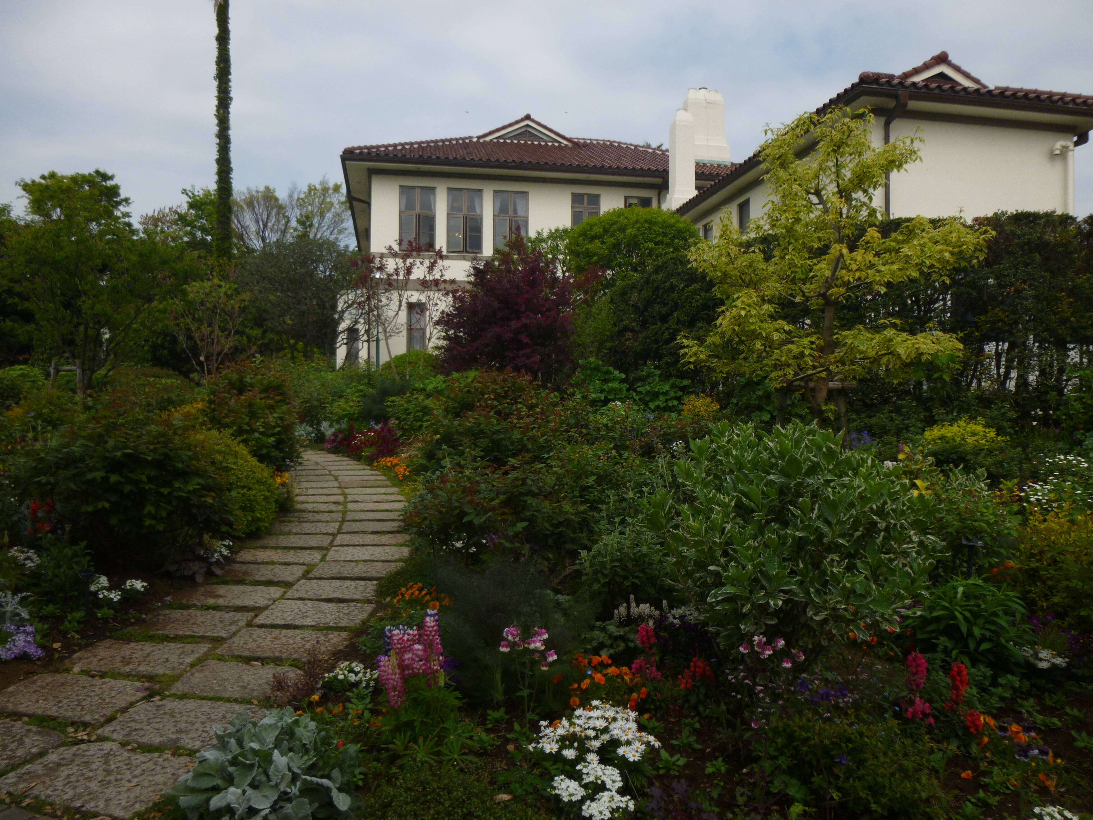 横浜市イギリス館 　お花情報の写真