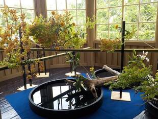 【花と器のハーモニー2019】花浪漫　－和洋折衷花ー