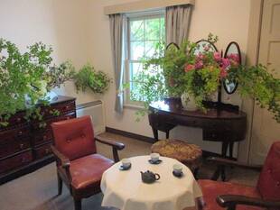 【花と器のハーモニー2019】横浜の花文化