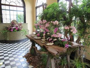 【花と器のハーモニー2019 Jeux de Fleurs -花遊び-】