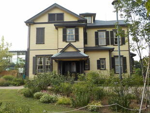 バラの夏季剪定