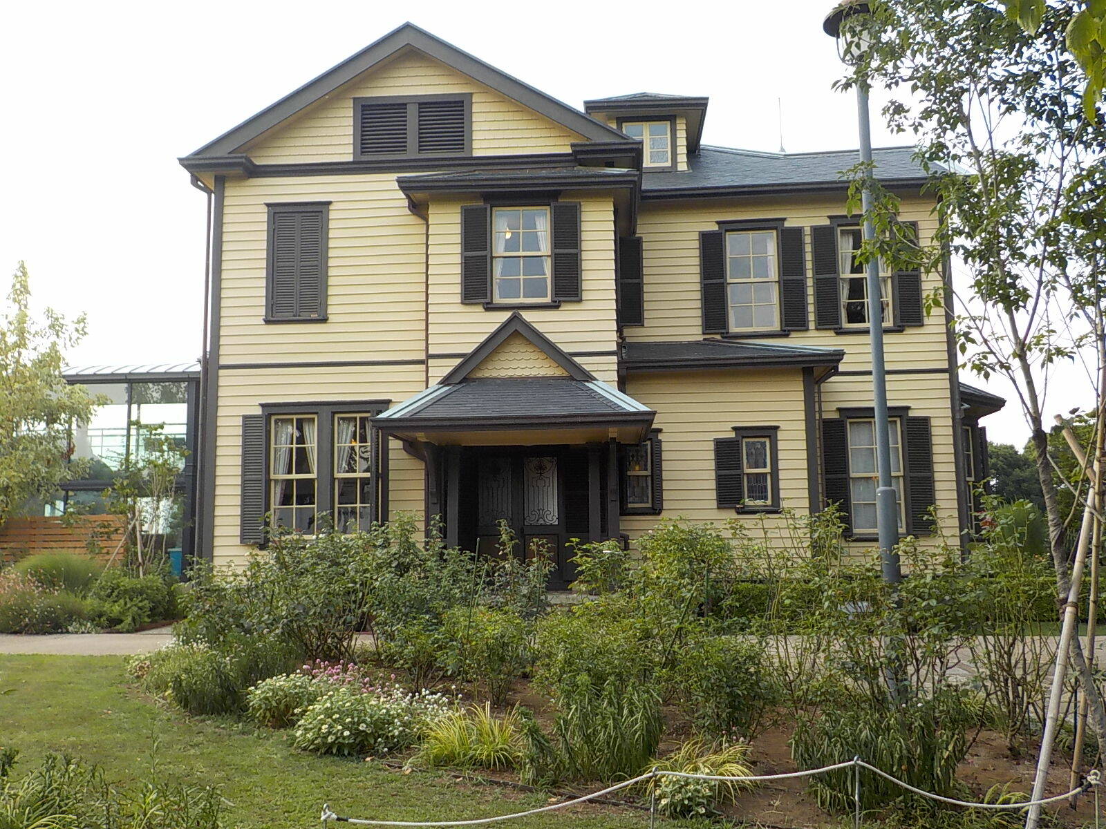 バラの夏季剪定の写真