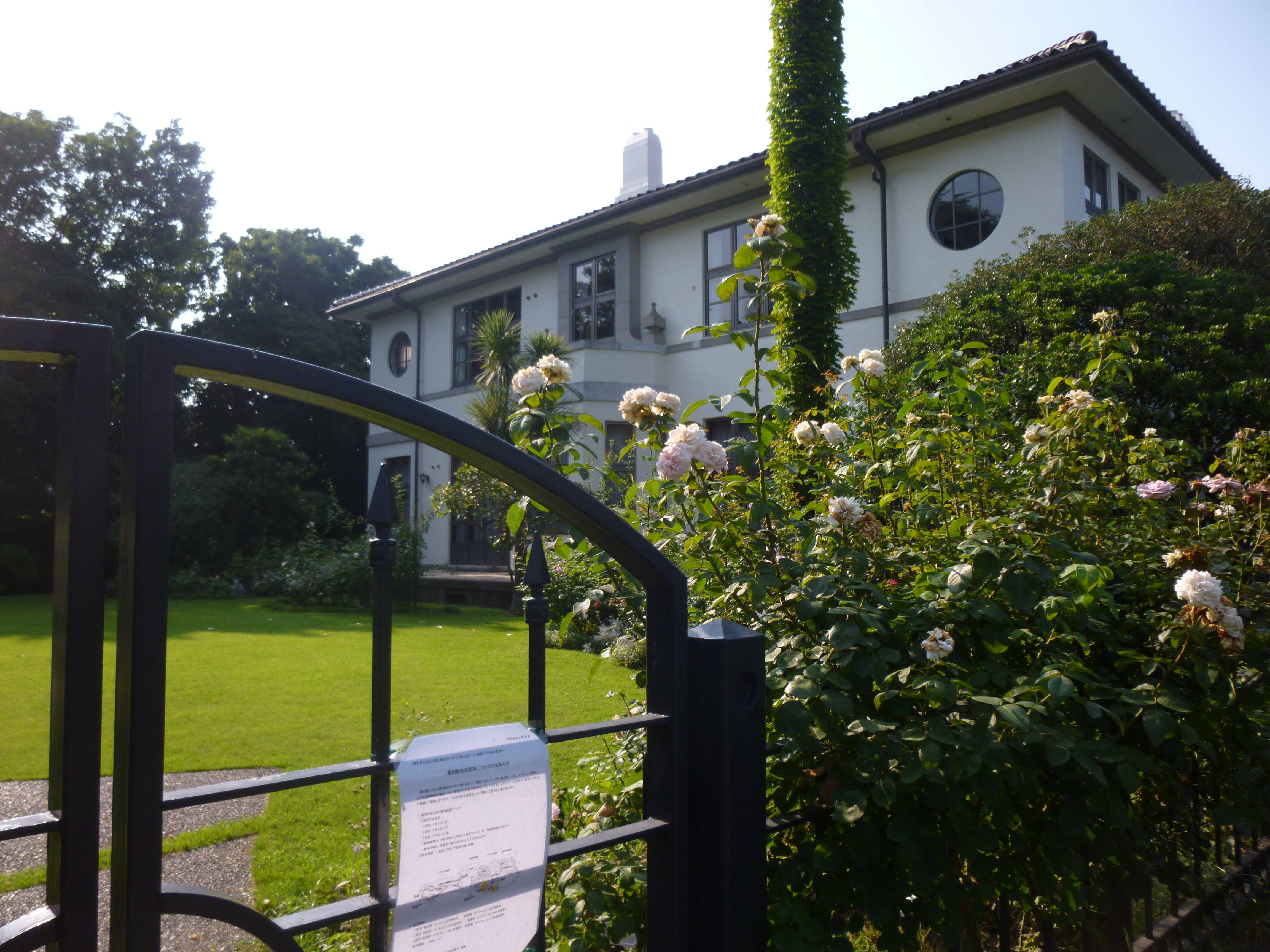  港の見える丘公園ビュー　≪夏≫の写真