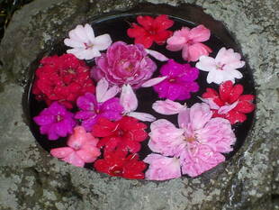 外交官の家の和館