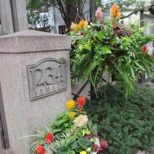 山手234番館ハンギングバスケットの植替え