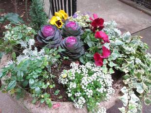 山手234番館　花鉢の植替え