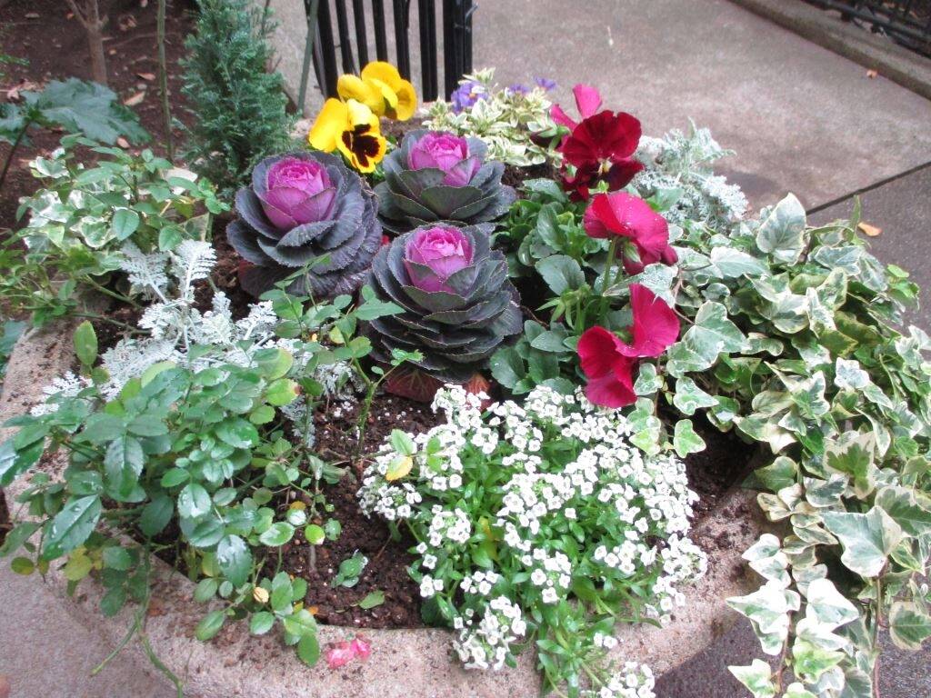 山手234番館　花鉢の植替えの写真