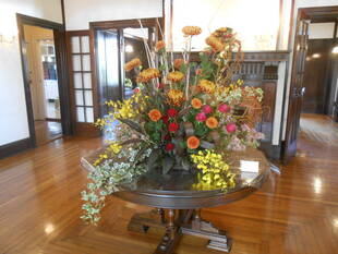 Les Chrysanthemums・菊