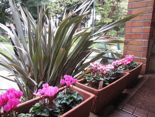 ベーリック・ホール　三連アーチから