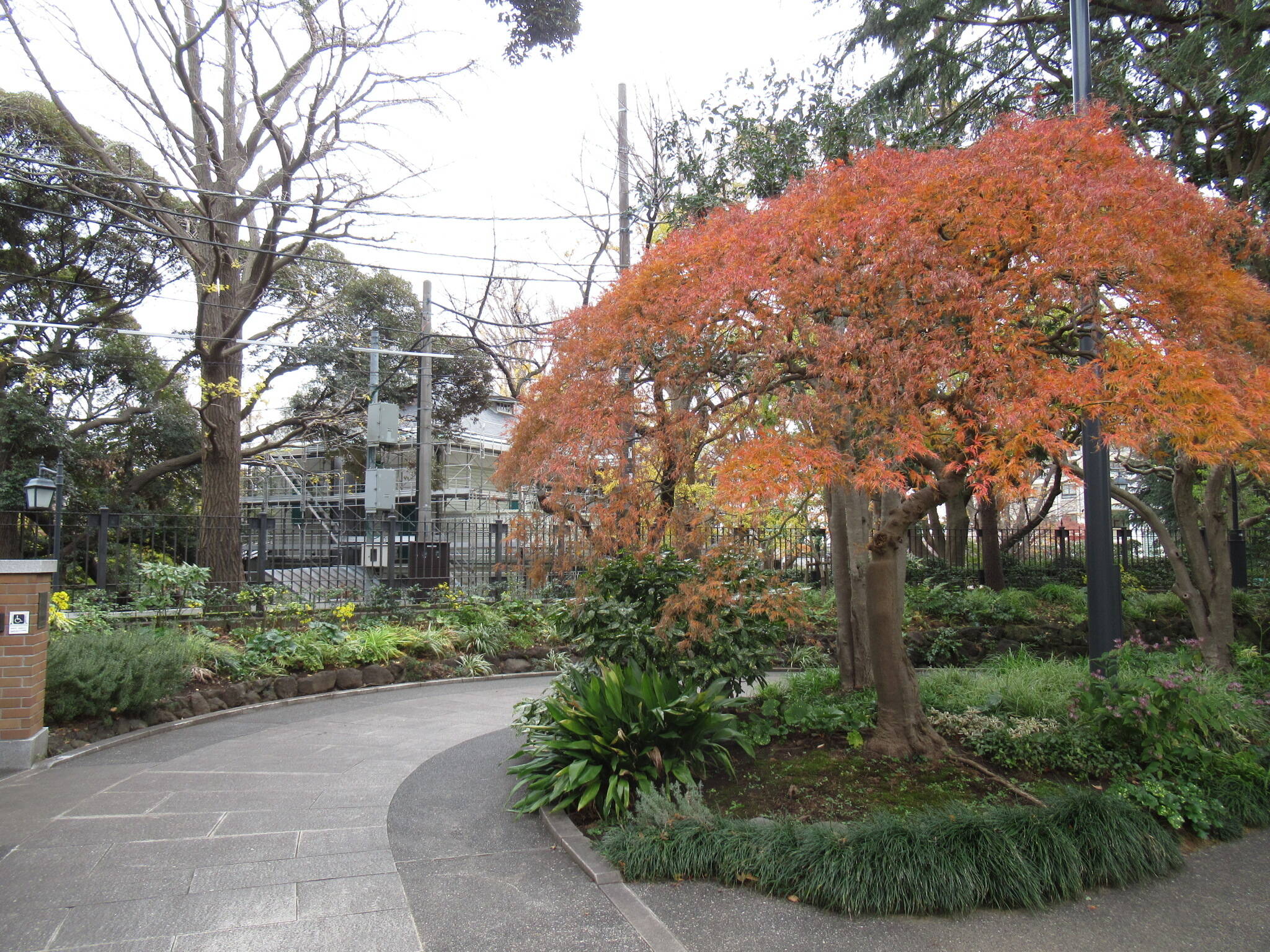 ベーリック・ホール　2階の窓から見える紅葉の写真