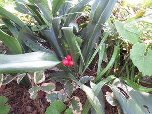 ベーリック・ホール　休館のお知らせ