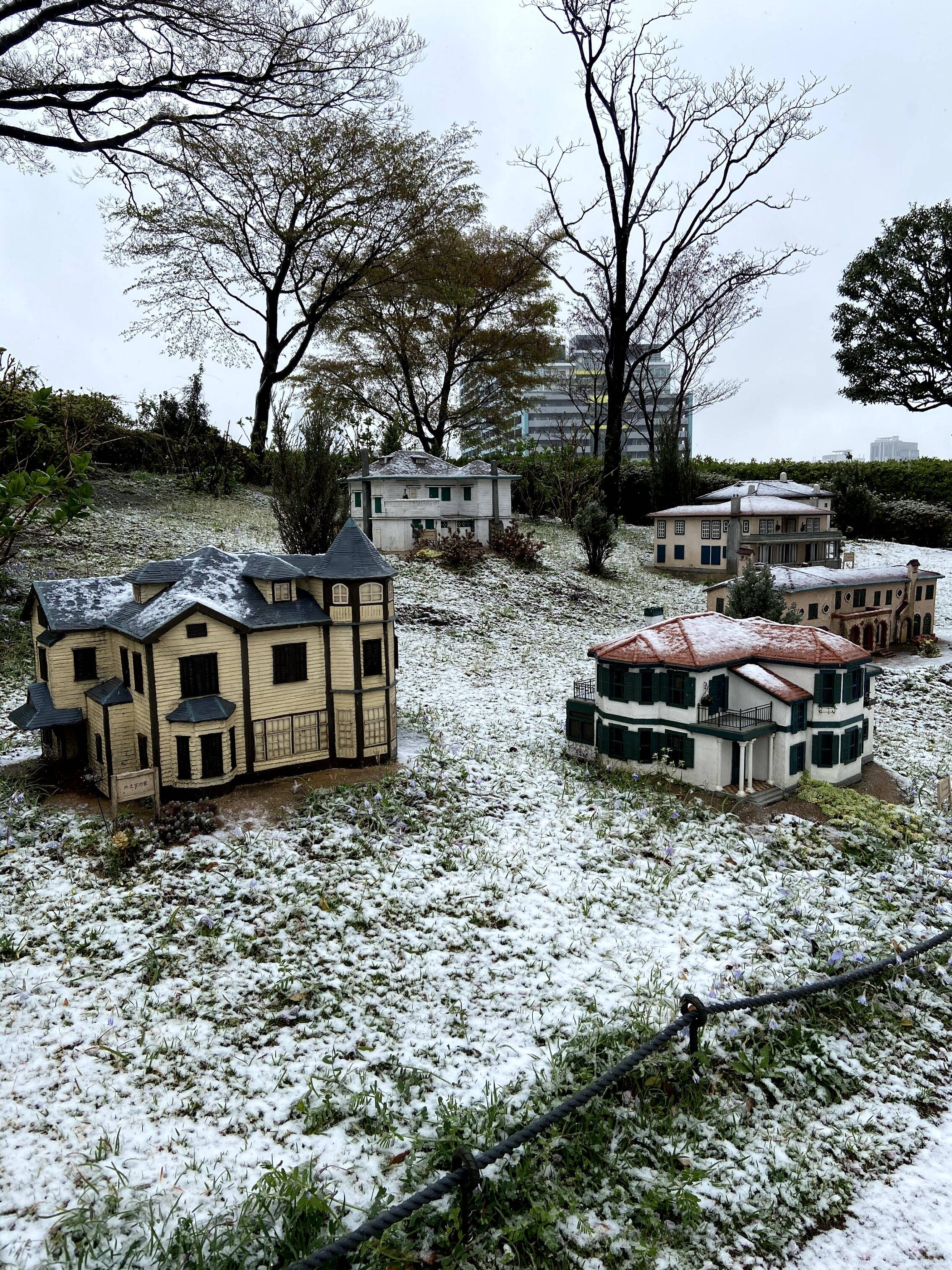 雪ですねの写真