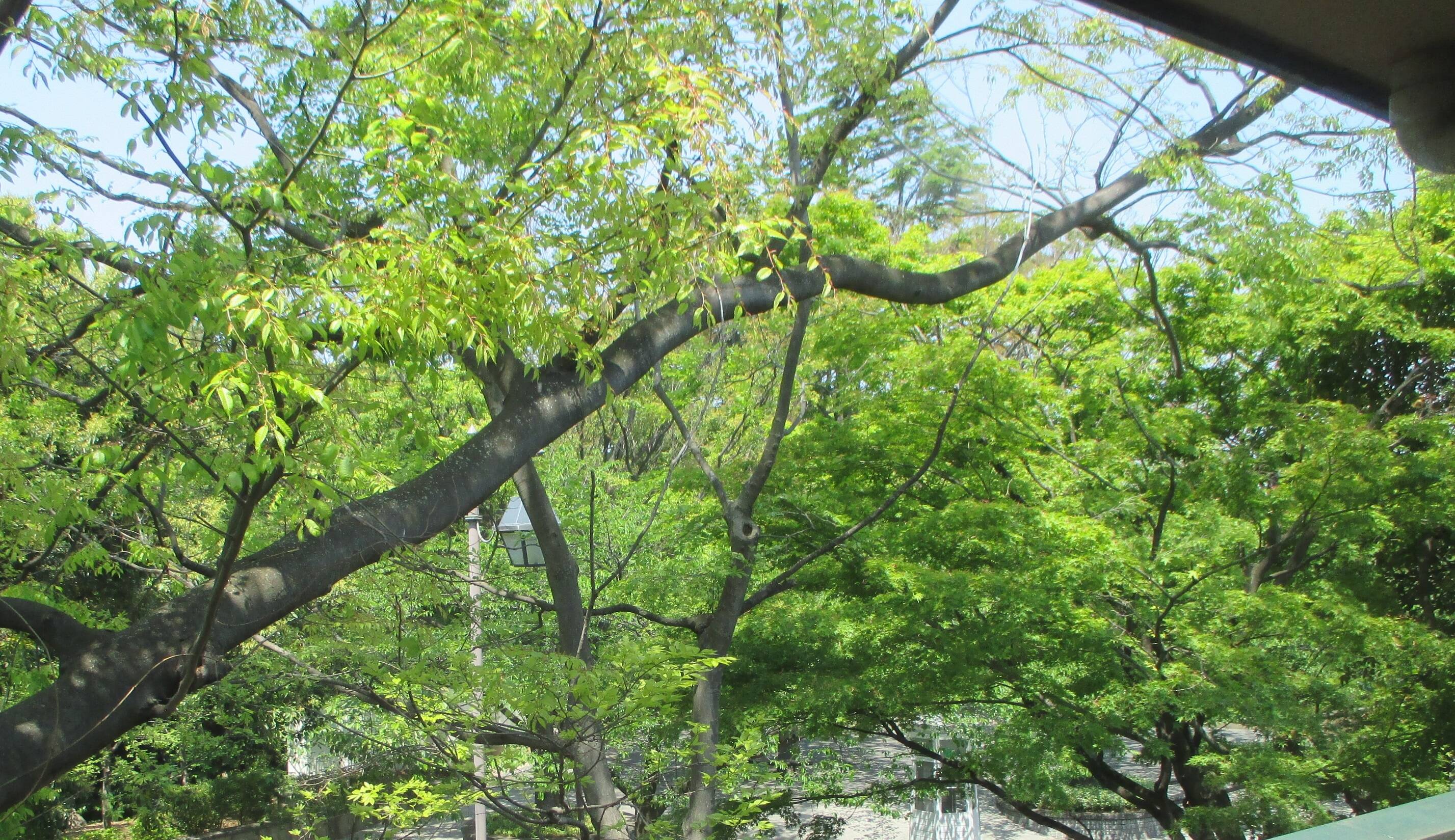 山手234番館の窓からの写真