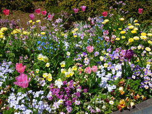 港の見える丘公園ビュー