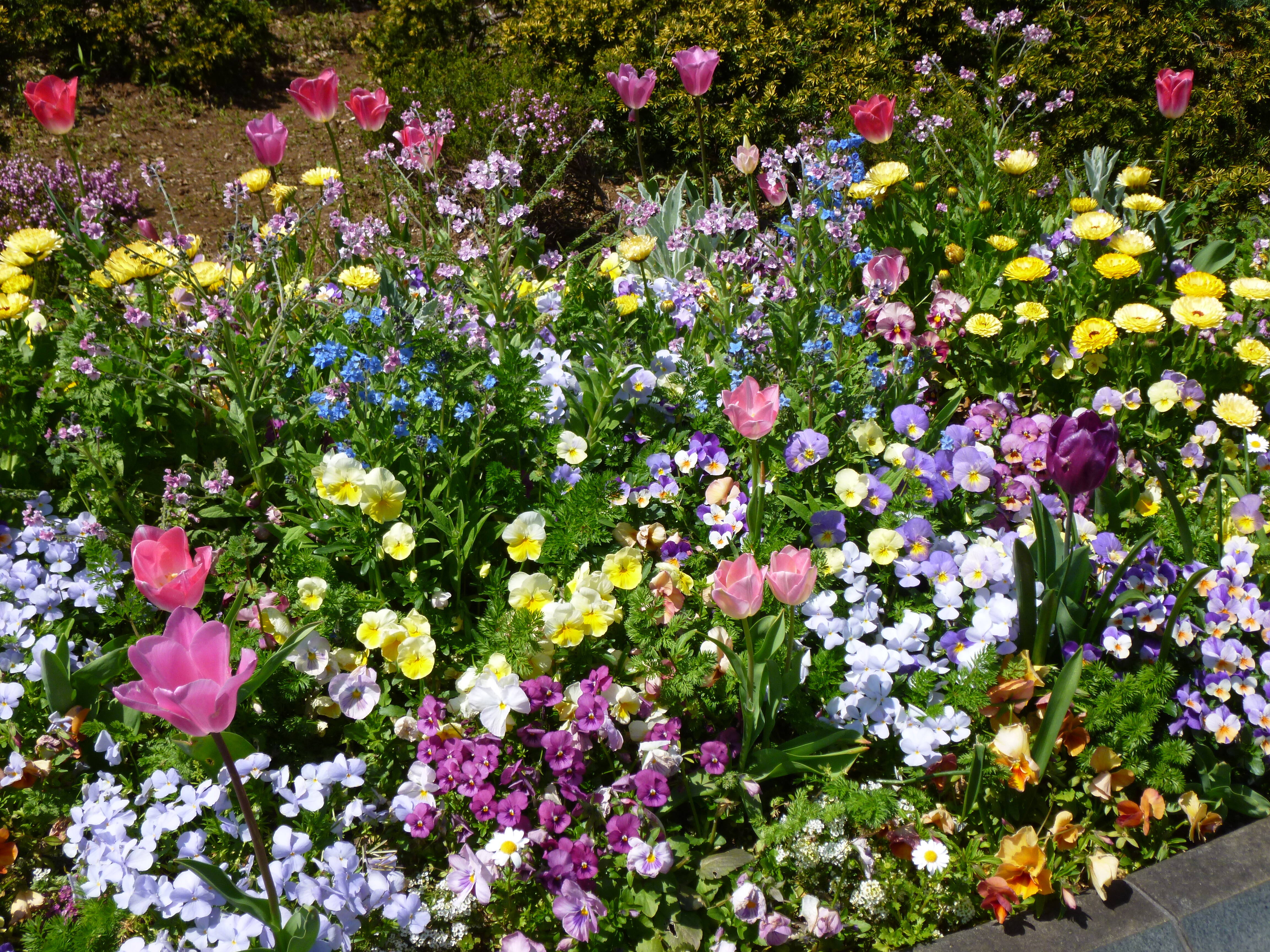 港の見える丘公園ビューの写真