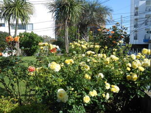 山手111番館のゴールデンボーダー