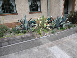 ベーリック・ホール　庭園のお手入れ