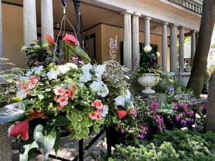 山手234番館のハンギングバスケット