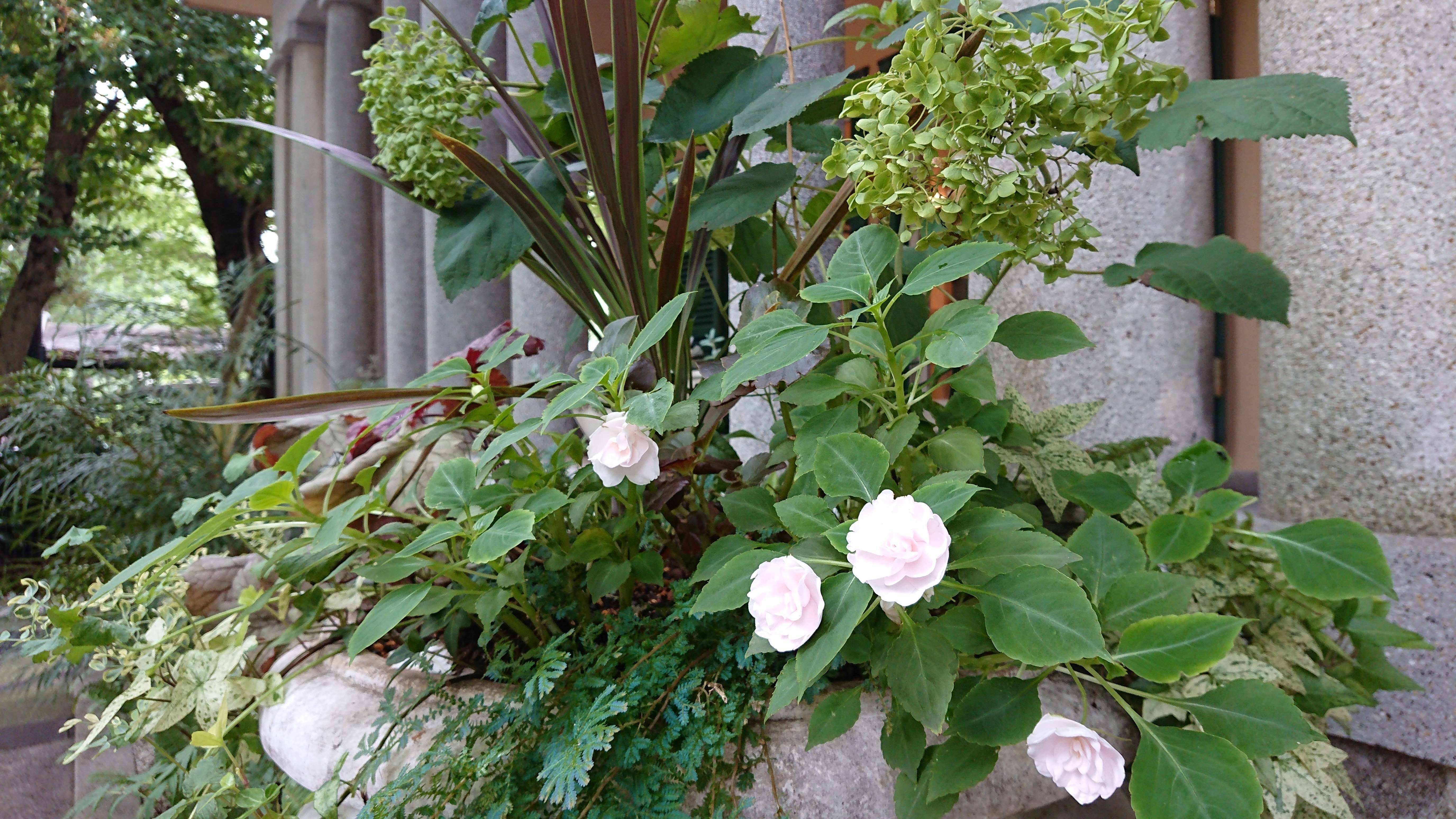 山手234番館のお花の写真