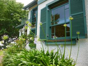 ブラフ１８番館のアガパンサス（紫君子蘭）