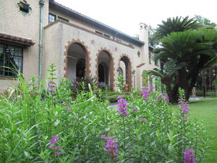 ベーリック・ホール　庭園のお花