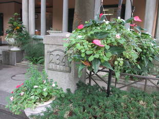 山手234番館　プランターの補植をしました