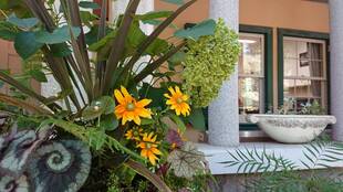 山手234番館のお庭から