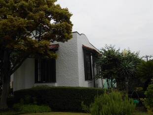 山手111番館の糸蘭