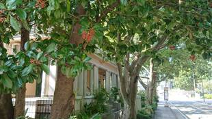 山手234番館　一時の清涼感を