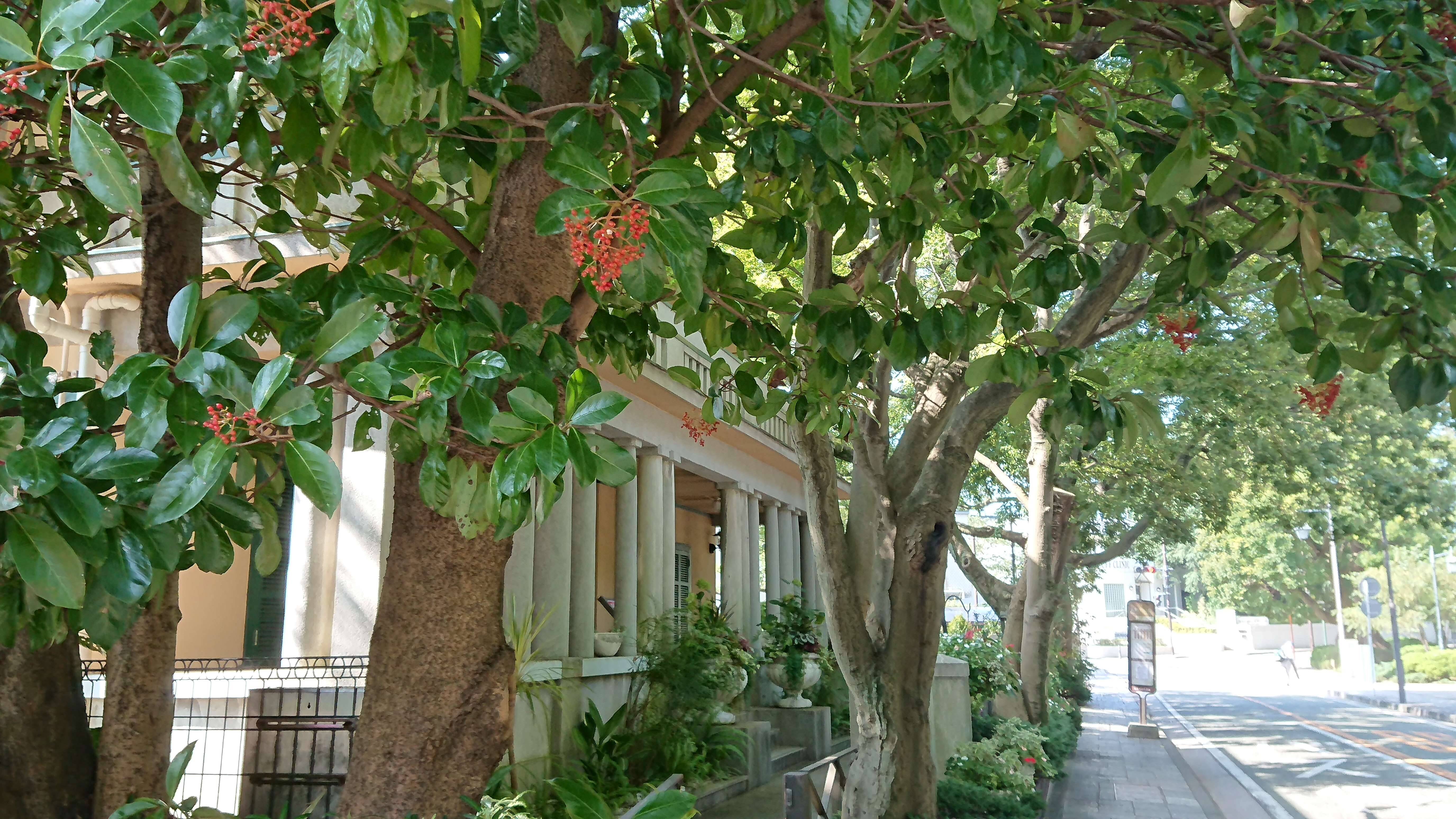 山手234番館 一時の清涼感をの写真