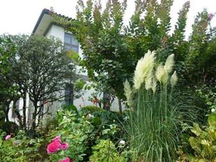 イギリス館のお庭から