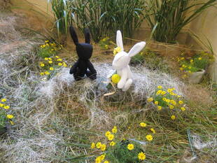 ベーリック・ホール お月見