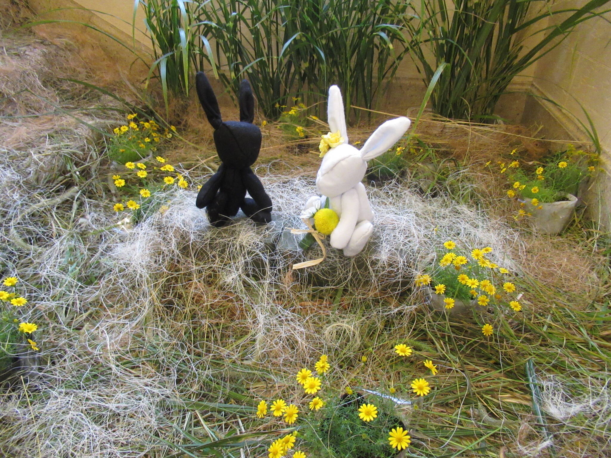 ベーリック・ホール　お月見の写真